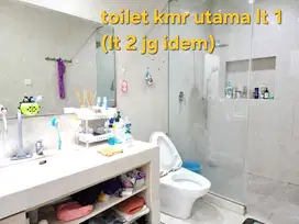 Dijual Rumah Mewah Harga Murah di Sutera Palma Alam Sutera