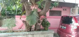 Rumah murah Bekasi utara