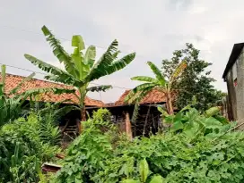 Jual tanah kosong bogel salam
