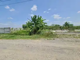 Tanah Zona Kuning di Parangjoro Grogol Sukoharjo