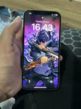 Iphone 12 Pro Max 256gb ex ibox