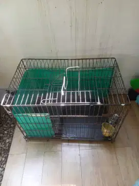 Kandang kucing peliharaan