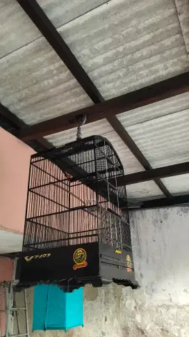 Sangkar kosan 40x40