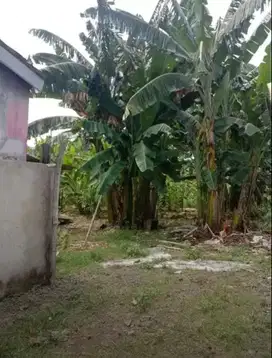 Jual tanah cilodong cluster Gudang