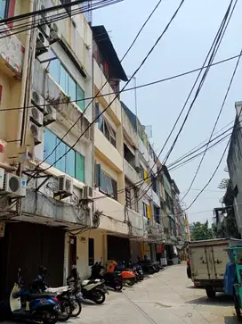 RUKOST HAYAM WURUK DIJUAL CEPAT