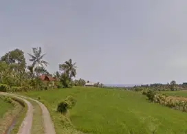 Tanah sawah di Mambang Selemadeg Tabanan Bali