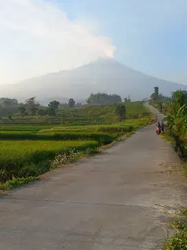 TANAH WISATA PACET SHM 5.334 M²