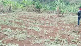 Tanah Sangat Murah SHM Untuk Perumahan/Perkebunan di area Padalarang