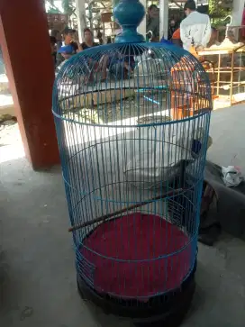 kandang LB utuh