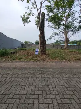 MURAH Tanah CITRALAND Dekat Cita Hati