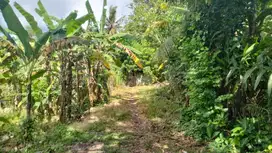 Land For lease 350 m2 river view & 10 minute to nyanyi beach