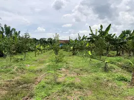 Tanah Dijual Cepat Lokasi Belakang Mall AEON BSD Tangerang Selatan