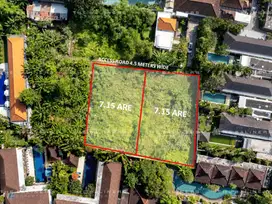 SPACIOUS LAND OPPORTUNITY IN SANUR