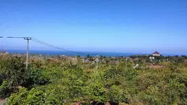 Tanah Ocean View Cocok Villa Ungasan Bali