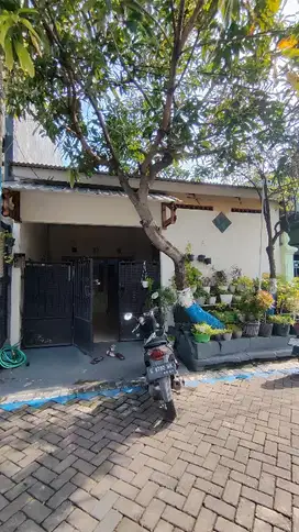 jual murah lokasi dekat juanda. sedati