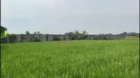 Jual Tanah di Pengampelan, Kota Serang, Banten