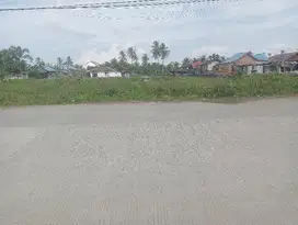 jual Tanah Murah Depan Kampus Unimuda Luas : 37,5 X 90