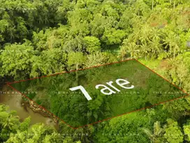 SPACIOUS RESIDENTIAL LAND WITH JUNGLE AND RIVER VIEWS IN BUWIT, TABANA