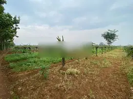 Tanah 9337 M2, Cocok Untuk Perumahan, Pinggir Jalan di Kp. Bojong