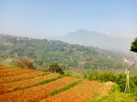 Tanah kebun zona kuning sebagian untuk kavling wisata