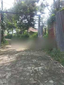 Tanah 4000 Meter, Ada Pabrik Toge di Cijeruk