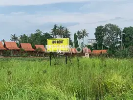Disewakan tanah area pantai seseh munggu