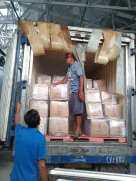 Daging Durian Medan Grosir Ready Stock