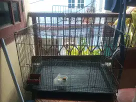 Kandang Kotak besi