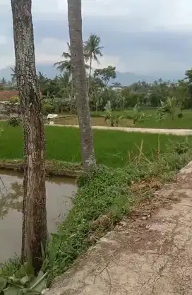Tanah  kolam ikan view bagus Akses masuk mobil