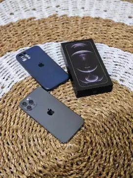 iphone 12 pro 256gb resmi