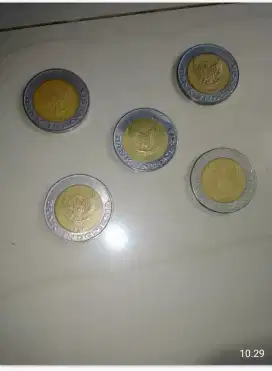 kelapa sawit 95& 96