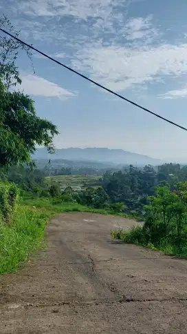 DIJUAL CEPAT TANAH KEBUN TEH