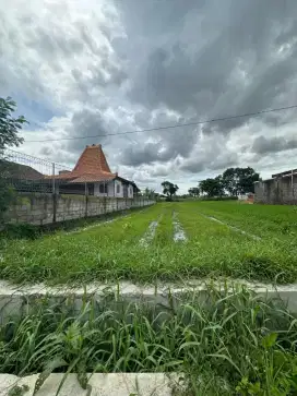 Dijual Tanah Milik Pribadi di Berbah 700m2 Lokasi Istimewa