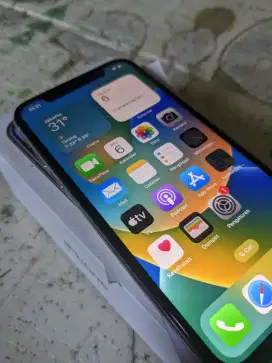 iPhone X 256 GB (Bea cukai)