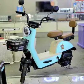 Sepeda listrik Ev 928