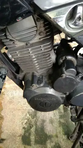 Tiger Revo 2010