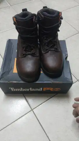 Timberland Pro titan ev