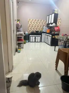 DIJUAL CEPAT RUMAH DI TAMAN HARAPAN BARU, PEJUANG,KOTA BEKASI