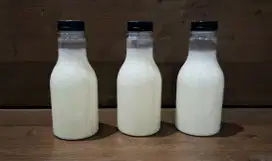 Susu kambing murni