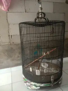 Sangkar Murai No 1