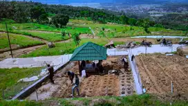 Jual Cepat Tanah Kavling 39 juta per 100 meter,jakarta, Depok, Bogor