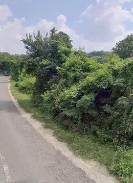 Tanah murah dekat pantai Bumbang Mandalika Lombok. Cocok untuk villa