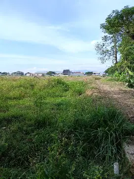Tanah kavling di jalan baru di desa padakaton ketanggungan brebes