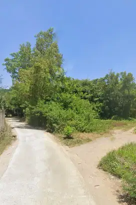 Tanah murah di central kuta Mandalika Lombok. Cocok untuk villa
