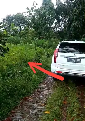 Tanah Kebun 4000m² Puncak 2, Sukamakmur Jonggol Bogor timur