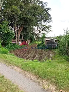 Dijual Tanah Sawah + Bangunan 12 m2 Kerkep Gurah Kediri