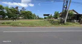 Tanah 1000m2 Di jalan utama Tegal badeng barat cupel , jembrana Bali