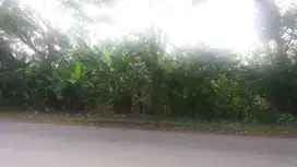 Tanah Strategis Daerah Perbatasan Cianjur Bogor, Surat SHM