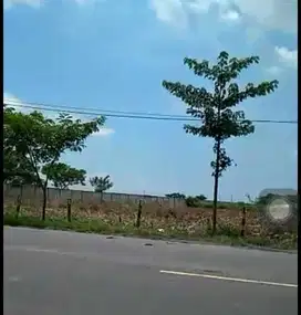Tanah Industri Jalan Nasional Widang Tuban