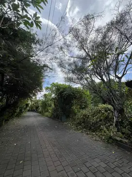 For Sale Leasehold Land in Duyung Beach Walking distance to the beach